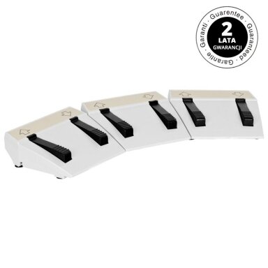 Control foot for cosmetic beds AZZURRO (for models with 3 motors) Control foot for cosmetic beds AZZURRO (for models with 3 motors)