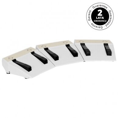 Ножка управления для косметических кроватей AZZURRO (для моделей с 3-мя моторами) 1