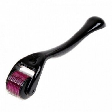 DERMA ROLLER mezoterapijai (2,0 mm) 540 plieno adatos DERMA ROLLER mezoterapijai (2,0 mm) 540 plieno adatos