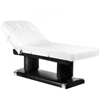 Professional electric bed-bed for massage procedures AZZURRO 838 (4 motors), white color