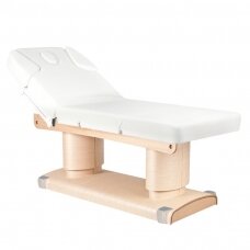 Professional electric massage and SPA couch-bed with heating function SPA AZZURO 838 (4 motors)