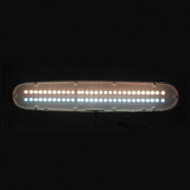ELEGANTE RED LINE profesionali kosmetologinė LED lempasu stovu ELEGANTE 801-TL su šviesos reguliavimu 4