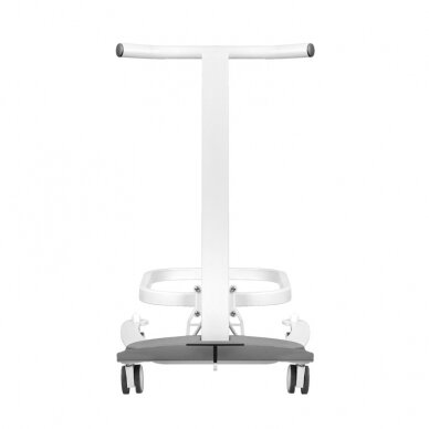 Professional pedicure bath with wheels and lift (height adjustment and locking) 1