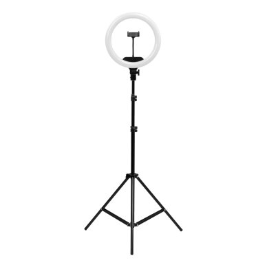 Professional makeup lamp RING LIGHT 13"" LED with stand, 36W 1