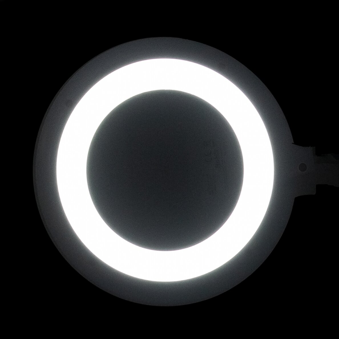 Profesionali kosmetologinė LED lempa - lupa ELEGANTE 6031, baltos spalvos 8 Profesionali kosmetologinė LED lempa - lupa ELEGANTE 6031, baltos spalvos 8