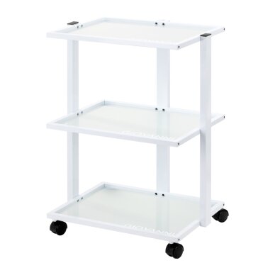 GIOVANNI professional cosmetology trolley E40, white