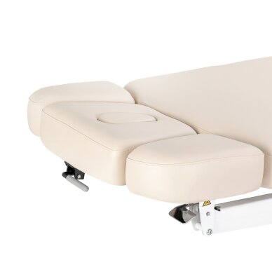 Profesionalus masažo ir SPA gultas SILLON LEISURE PREMIUM 8