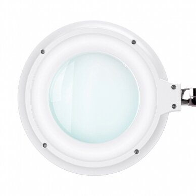 Profesionali kosmetologinė LED lempa - lupa ELEGANTE 6031, tvirtinama prie paviršių, baltos spalvos 3 Profesionali kosmetologinė LED lempa - lupa ELEGANTE 6031, tvirtinama prie paviršių, baltos spalvos 3