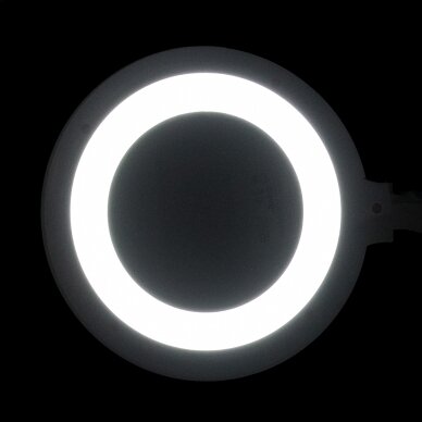 Profesionali kosmetologinė LED lempa - lupa ELEGANTE 6031, tvirtinama prie paviršių, baltos spalvos 4 Profesionali kosmetologinė LED lempa - lupa ELEGANTE 6031, tvirtinama prie paviršių, baltos spalvos 4