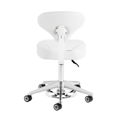 AZZURRO 156-F profesionali meistro kėdė grožio salonams, šaltai baltos spalvos 2 AZZURRO 156-F profesionali meistro kėdė grožio salonams, šaltai baltos spalvos 2