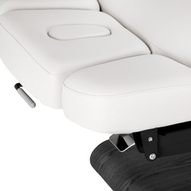 Professional electric massage and SPA bed SILLON RELAX, white with black base 8