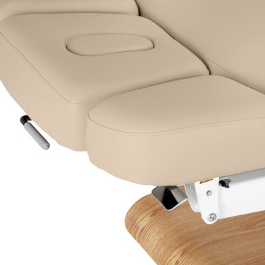 Professional electric massage and SPA bed SILLON RELAX, beige with light base 8