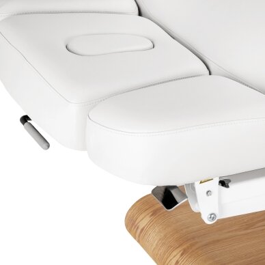 Professional electric massage and SPA bed SILLON RELAX, white with light base 8