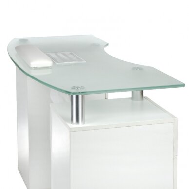Профессиональный маникюрный стол с пылесборником BD-3453+P, белого цвета 5