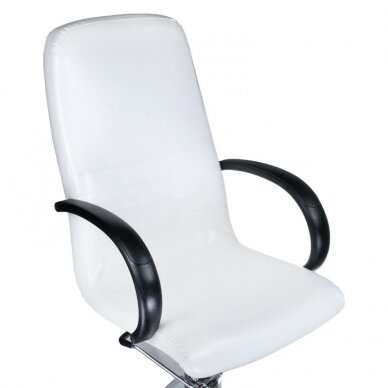 Профессиональное кресло для процедур педикюра BW-100, белого цвета 7