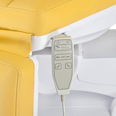 Professional electric bed-bed for beauticians SA-6672B (3 motors), honey color 3