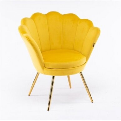 Кресло для салона красоты REY, желтый велюр 2