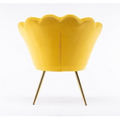 Кресло для салона красоты REY, желтый велюр 5