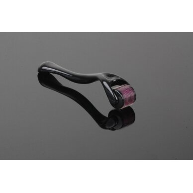 DERMA ROLLER mezoterapijai (0.5 mm) 540 plieno adatos SONOBELLA, 10 vnt. 3 DERMA ROLLER mezoterapijai (0.5 mm) 540 plieno adatos SONOBELLA, 10 vnt. 3