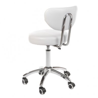 Professional master chair for beauticians and beauty salons BT-229, white color 3