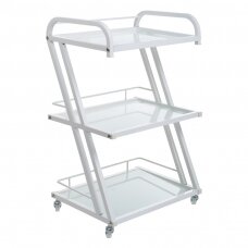 Professional treatment trolley for cosmetologists BD-6005, white color