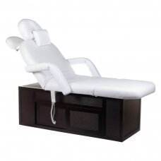 Profesionalus gultas-masažo stalas SPA & WELLNESS 2009, baltos spalvos