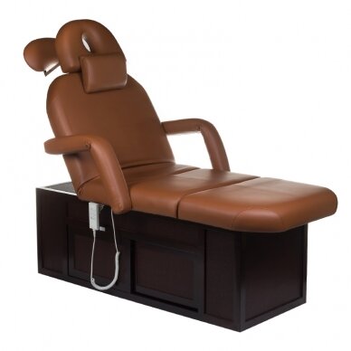 Professional bed-massage table SPA & WELLNESS 2009, brown color