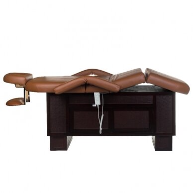 Professional bed-massage table SPA & WELLNESS 2009, brown color 5