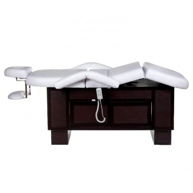 Professional bed-massage table SPA & WELLNESS 2009, white color 5