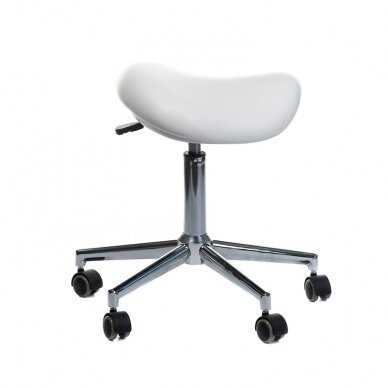 Профессиональный медицинский стул для врачей и медсестер BD-Y913, белого цвета 2