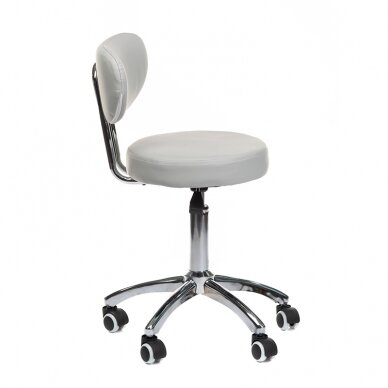Профессиональное кресло для мастера и салонов красоты BT-229, серого цвета 2