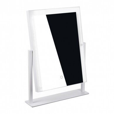 Mirror for beauty salons with LED lighting LED HOLLYWOOD, 30x41 cm. 1