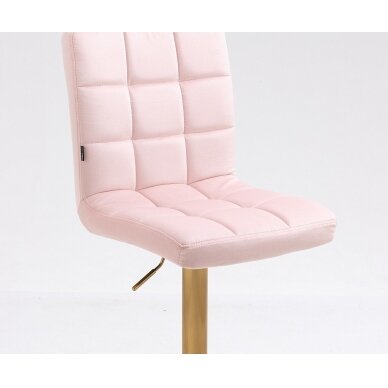 Profesionali makiažo kėdė grožio salonams HR7009W, rožinis aksomas 3