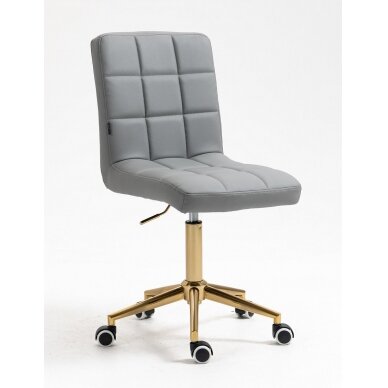 Professional beauty salons and beauticians stool HC1015K, grey eco-leather