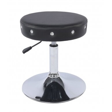 Professional beauty salons and beauticians stool HC1102CN, black eco leather 2