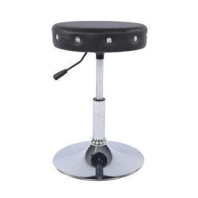 Professional beauty salons and beauticians stool HC1102CN, black eco leather 4