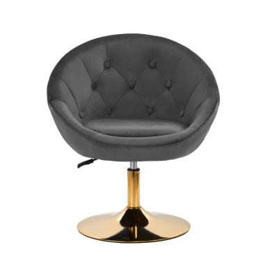 4Rico beauty salon chair with stable base QS-BL12B, gray velvet 1