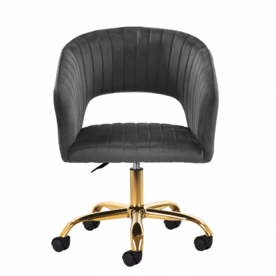 4Rico beauty salon chair with wheels QS-OF212G, gray velvet 1