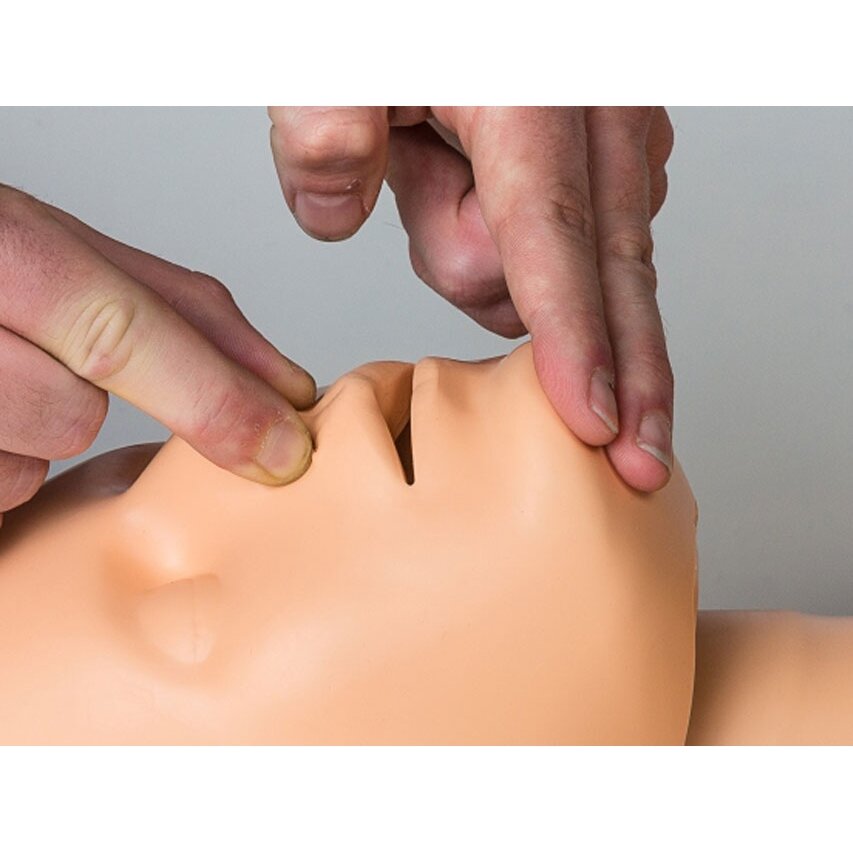 First aid mannequin CPR 1 First aid mannequin CPR 1
