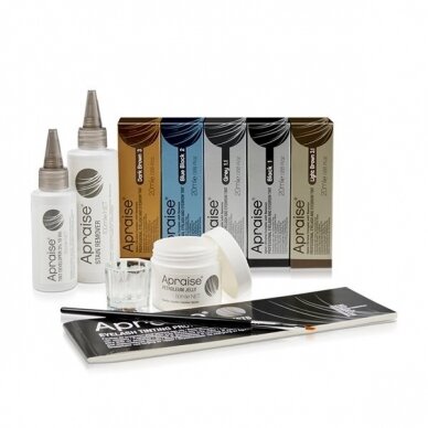 APRAISE eyebrow and eyelash tinting kit 1