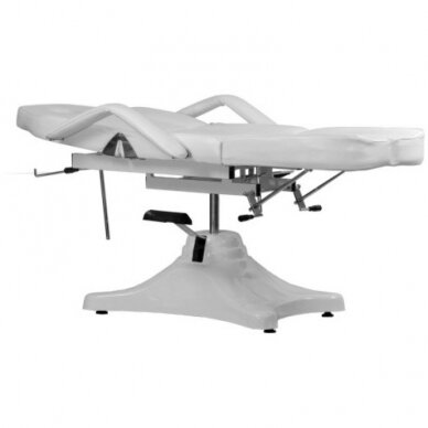 Professional hydraulic pedicure chair bed A-234C PEDI 2