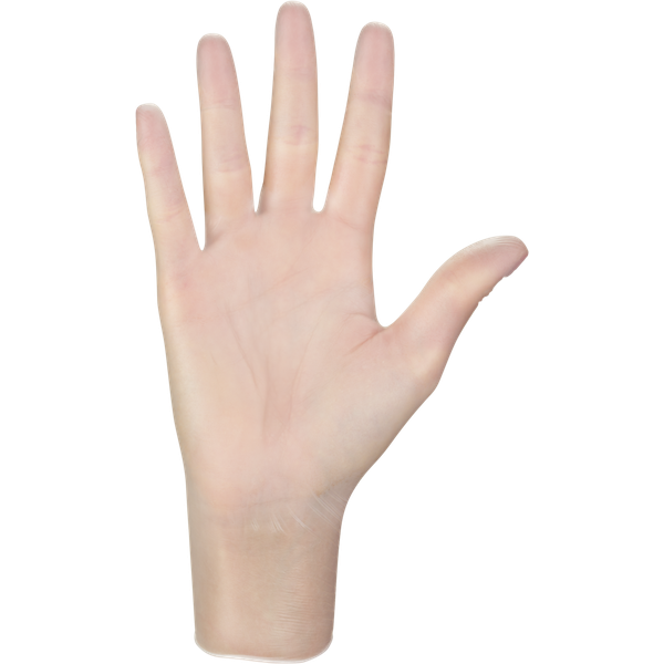BERRY disposable vinyl gloves without powder (transparent, protective), 100pcs