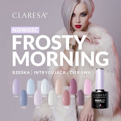 CLARESA стойкий гибридный гель лак для ногтей Frosty Morning 9, 5g. 2