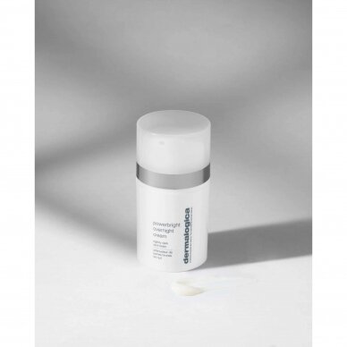 DERMALOGICA PowerBright Overnight Cream naktinis kremas nuo pigmentacijos, 50ml. 1