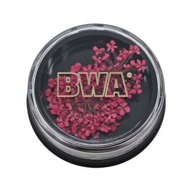 Dried flowers for nail art BWA NO.12