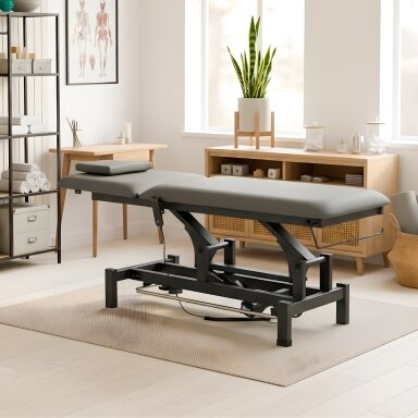 FORTIS 2 professional electric massage and physiotherapy bed with manual and foot control FORTIS 2 professional electric massage and physiotherapy bed with manual and foot control