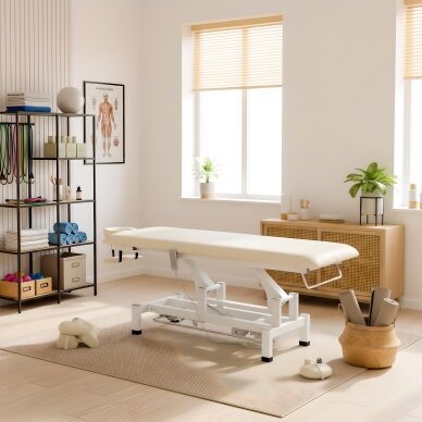 FORTIS 1 professional electric massage and physiotherapy bed 1