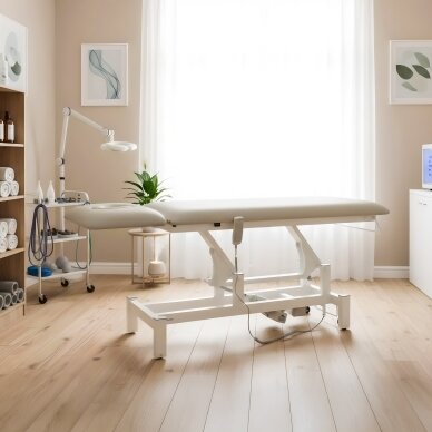 FORTIS 2 ERGO professional electric 2-part massage and physiotherapy bed with manual control, light gray 2 FORTIS 2 ERGO professional electric 2-part massage and physiotherapy bed with manual control, light gray 2