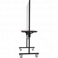 Double-sided hairdressing and beauty salon console - mirror FLEX