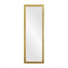 GABBIANO профессиональное напольное зеркало для салона красоты и парикмахерской GB-9031 золотого цвета